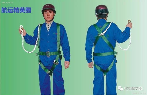 守衛(wèi)生命之板 船員必備的安全綠籬防護(hù)技能解析